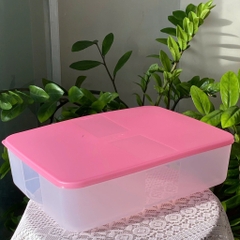 Hộp Tupperware Trữ Đông  3.1L Essential - Tupperware Malaysia Chính Hãng