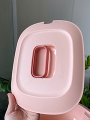 Tupmalay - Thố Đựng Cơm Kèm Vá Nhựa Mềm Đục - Gourmet Set Server Bekas Hidang Lauk Dengan Penutup Food Container with Lid -  Tupperware