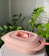 Tupmalay - Thố Đựng Cơm Kèm Vá Nhựa Mềm Đục - Gourmet Set Server Bekas Hidang Lauk Dengan Penutup Food Container with Lid -  Tupperware