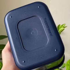 Bộ 2 Hộp Tupperware Trữ Mát Mùa Đông Limited Winter Fantasy Dark Blue Set Baseline Canister 500ml 1.3L - Tupperware Malaysia Chính Hãng