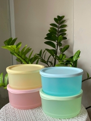 Tuptrung - Hộp Tròn Trữ Khô Mát Round Stax 530ml 4 màu