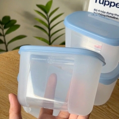 Bộ 4 Hộp Tupperware Trữ Đông Gen I Mini 300ml - New Tupperware Chính Hãng