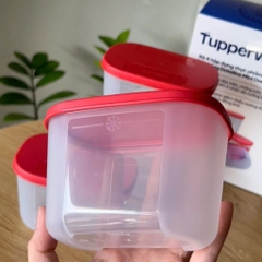 Bộ 4 Hộp Tupperware Trữ đông Dateline Mini Double 300ml - New Tupperware Chính Hãng