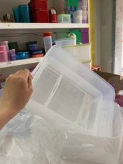 Hộp Tupperware Trữ Đông Có Khay Lót Đáy 5.7L - NEW TUPPERWARE Chính Hãng