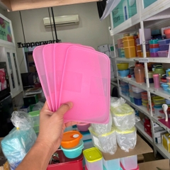 Hộp Tupperware Trữ Đông 650ml Dẹt - Nắp Hồng