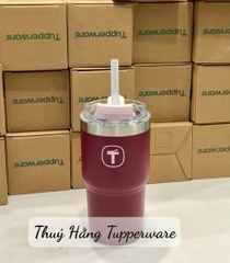 Ly Giữ Nhiệt Tupperware Big T 660ml / 1.1L - Có Ống Hút - Tupperware Trung Chính Hãng