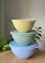 Hộp Đựng Thực Phẩm Tupperware Trữ Khô Và Mát Original Bowl 2.5L 1.7L 1.1L - New Tupperware