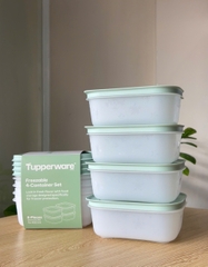 Hộp Đựng Thực Phẩm Tupperware Trữ Đông  Freezable 450ml  - Đông Dẻo - New Tupperware Chính Hãng