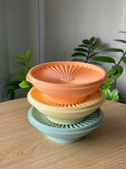 Hộp Đựng Thực Phẩm Tupperware Trữ Khô Và Mát Heritage Bowl 400ml - New Tupperware