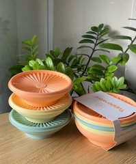 Trọn Bộ 3 Hộp Đựng Thực Phẩm Tupperware Trữ Khô Và Mát Heritage Bowl 400ml - New Tupperware