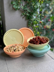 Hộp Đựng Thực Phẩm Tupperware Trữ Khô Và Mát Heritage Bowl 400ml - New Tupperware