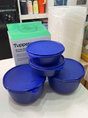 Bộ 4 Hộp Tupperware Trữ Mát Modular Bowl Xanh Dương Đậm 600ml + 2L - New Tupperware