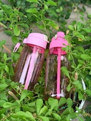 Bình Nước Tupperware Lohas Flask 550ml Có Ống Hút
