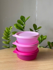 Hộp Mát Tupperware Round bowl 4 Màu 300ml (01 Hộp)