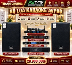 Dàn Karaoke AVPRO 412
