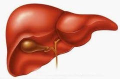 9 mẹo giúp gan khỏe mạnh