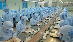 Xuất khẩu tổ yến sang Trung Quốc: Mã định danh - mảnh ghép còn thiếu