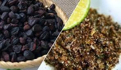 Hạt dổi rừng Tây Bắc