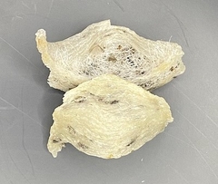 Hộp yến thô nhà loại 1 - 100gr