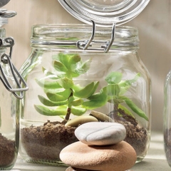 hu thuy tinh nap cai kin hoi fido 750ml bormioli rocco italy