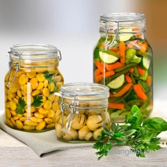 hu thuy tinh nap cai kin hoi fido 500ml bormioli rocco italy