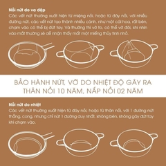 Nồi thuỷ tinh Visions Flair 5.5L VSF-55