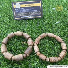 Vòng trầm kiến đốt trúc