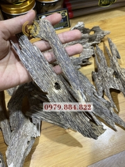 Trầm Kiến cao cấp hàng chọn lọc
