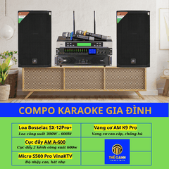 Bộ dàn karaoke gia đình SX 12Pro+