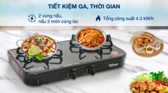 Bếp ga đôi Paloma PA J51CE