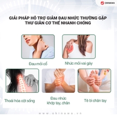 MÁY MASSAGE BẤM HUYỆT OKINAWA OS 02