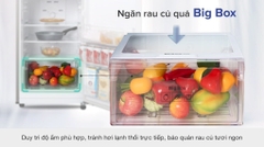 Tủ lạnh Samsung Inverter 208 lít RT20HAR8DBU/SV