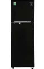 Tủ lạnh Samsung Inverter 256 lít RT25M4032BU/SV