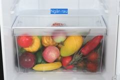 Tủ lạnh Toshiba Inverter 180 lít GR RT234WE PMV(52)