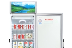 Tủ mát Sanaky 200 lít VH 258KL