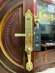 KHÓA CỬA ĐẠI SẢNH GIOVANI GSL - A165 MÀU VÀNG