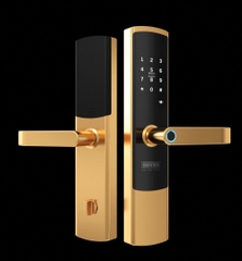 Khóa cửa gỗ Giovani GSL-U801G