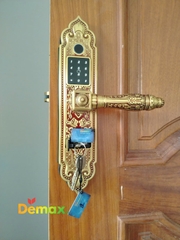 Khóa biệt thự Demax EL350 ROSE GOLD WIFI