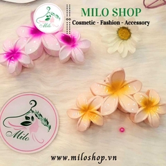 Kẹp tóc 3 bông hoa sứ nhiều màu
