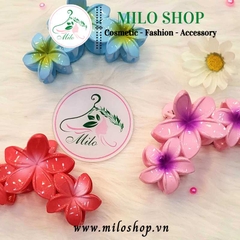Kẹp tóc 3 bông hoa sứ nhiều màu