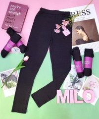 Quần legging dài cuộn tím Legging Rainbow
