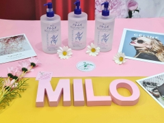 Nước tẩy trang Hatomugi - 500ml