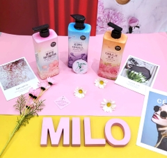 Sữa tắm On The Body Damask Rose (Hàn Quốc) - 900g