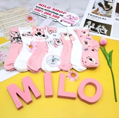 Vớ gấu dâu Lotso (mẫu mới)
