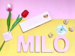 Hộp bút bằng nhựa sticker cute