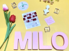 Set 24 móng giả nhiều họa tiết