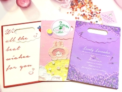 Túi giấy cao cấp đựng quà (size trung)
