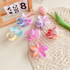 Kẹp tóc hoa sứ size to 8cm nhiều màu