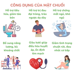 Combo 2 chai Mật chuối rừng Tabai 500ml