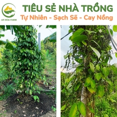 Tiêu sẻ An Hòa trồng tự nhiên hương vị cay nồng thơm đậm thương hiệu An Hòa Farm